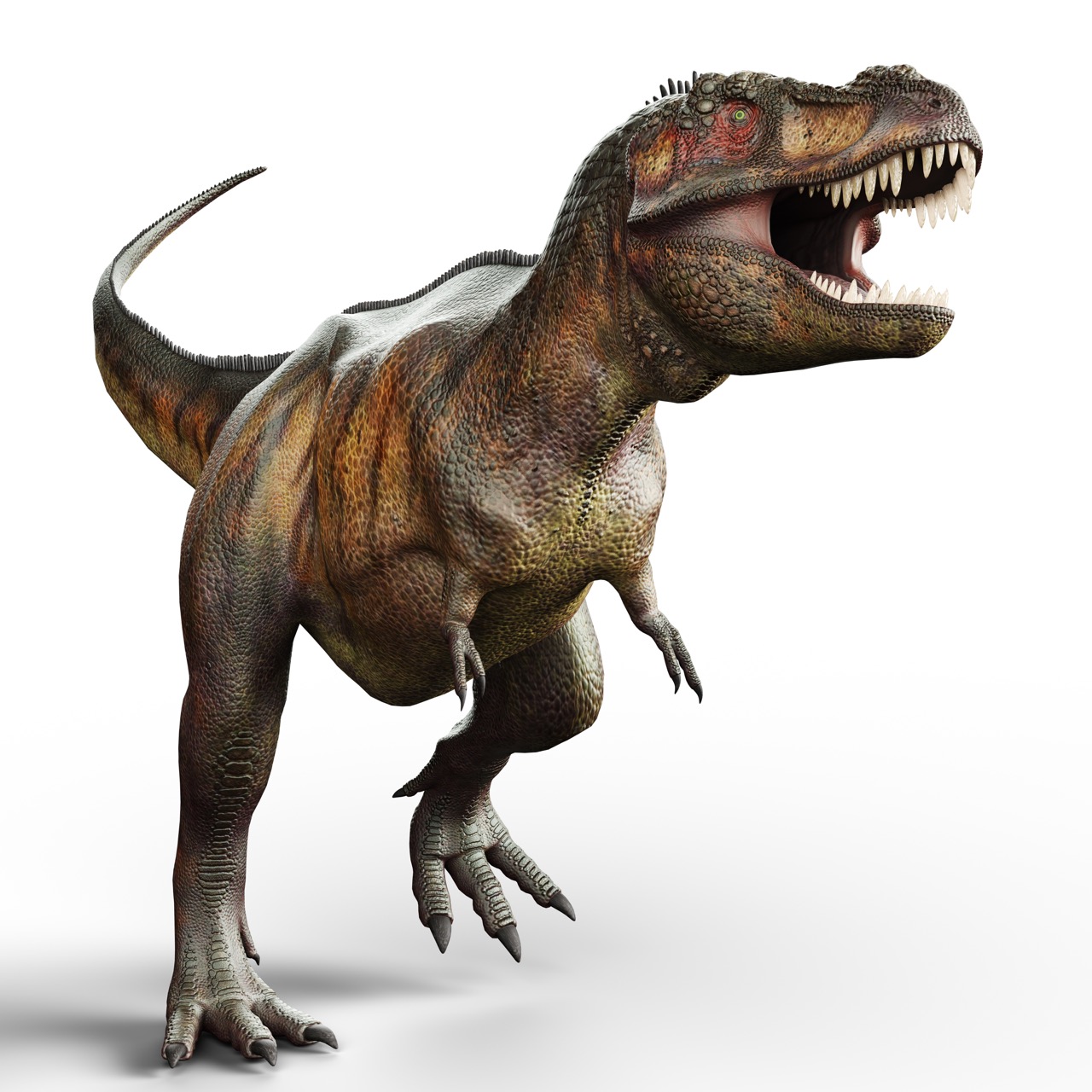 tyrannosaurus rex look like